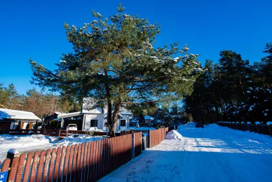 #16 zdjęcie nieruchomości