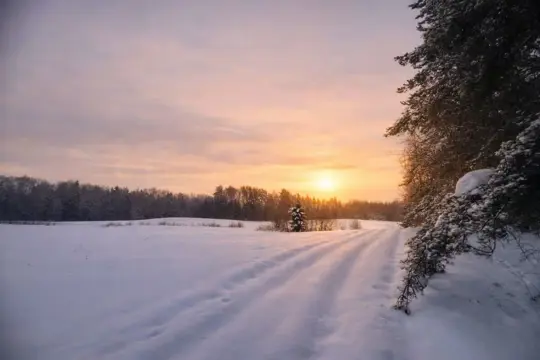 #1 zdjęcie nieruchomości