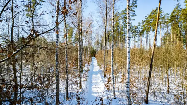 #38 zdjęcie nieruchomości