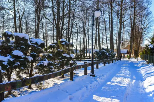 #39 zdjęcie nieruchomości