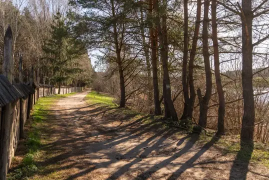 #14 zdjęcie nieruchomości