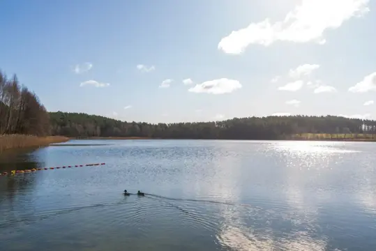 #13 zdjęcie nieruchomości