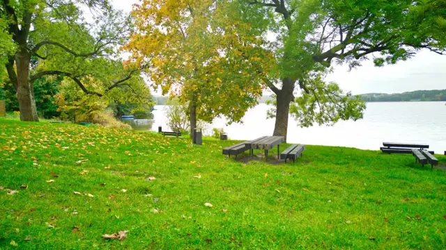 #26 zdjęcie nieruchomości