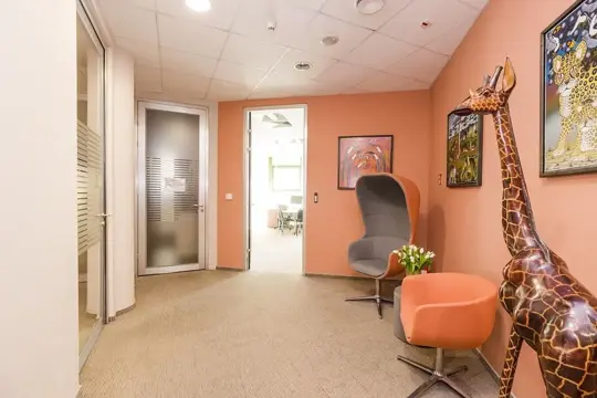 #7 zdjęcie nieruchomości