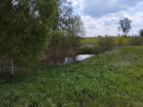 #14 zdjęcie nieruchomości