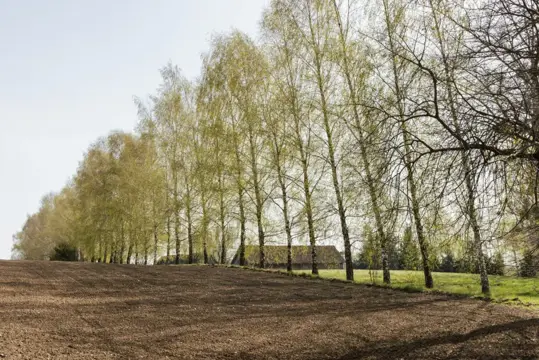 #5 zdjęcie nieruchomości