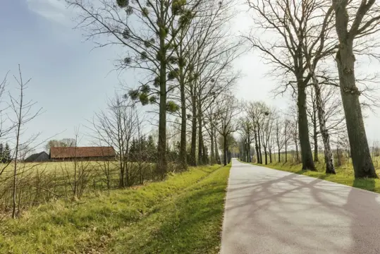 #15 zdjęcie nieruchomości