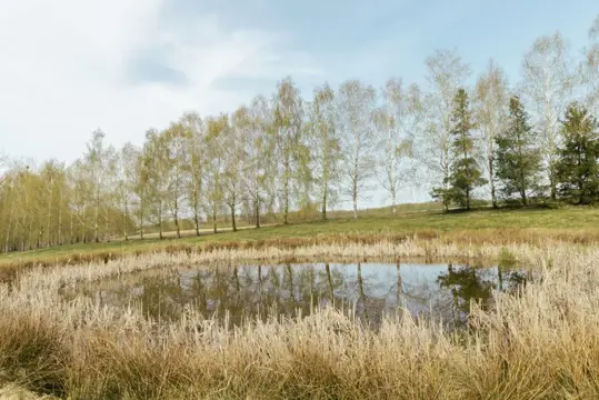 #4 zdjęcie nieruchomości