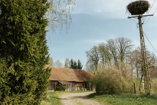 #11 zdjęcie nieruchomości