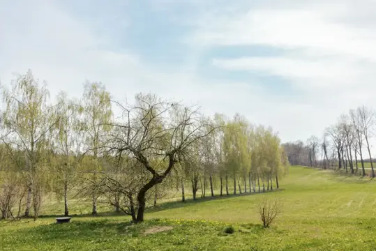 #2 zdjęcie nieruchomości