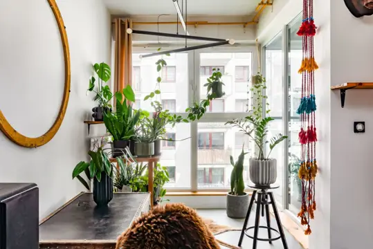 #5 zdjęcie nieruchomości