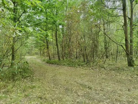 #1 zdjęcie nieruchomości