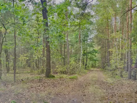 #4 zdjęcie nieruchomości