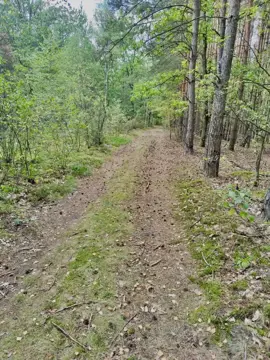 #5 zdjęcie nieruchomości