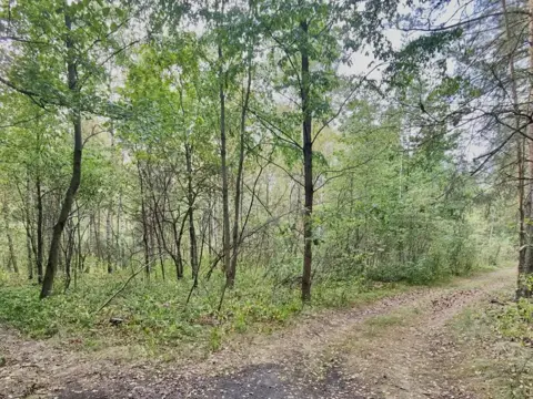 #3 zdjęcie nieruchomości