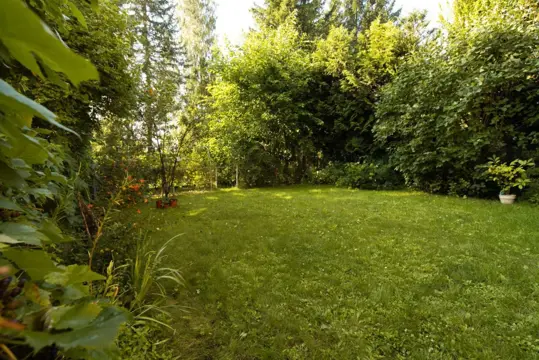 #20 zdjęcie nieruchomości