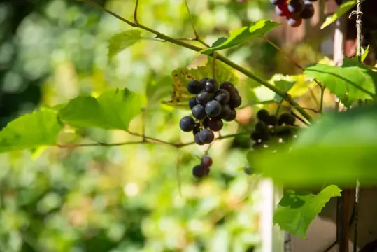 #23 zdjęcie nieruchomości