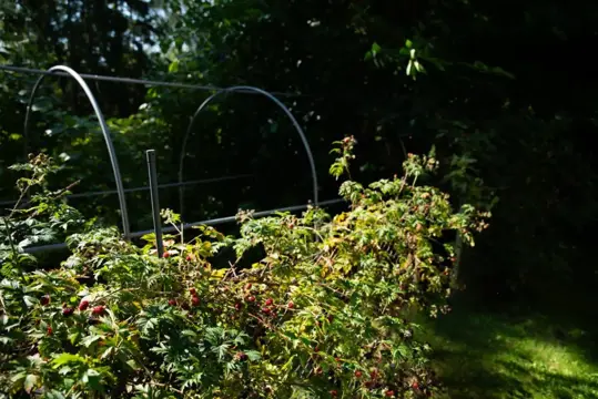 #21 zdjęcie nieruchomości