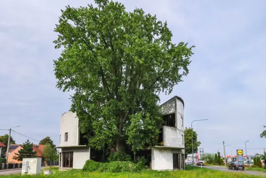 #28 zdjęcie nieruchomości