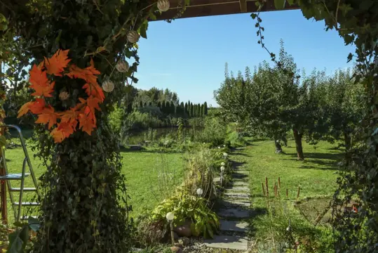 #28 zdjęcie nieruchomości