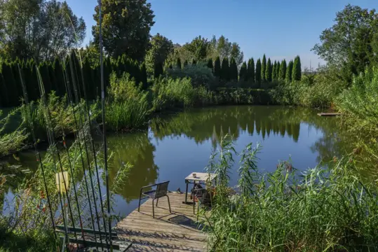 #29 zdjęcie nieruchomości