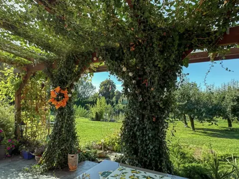 #6 zdjęcie nieruchomości